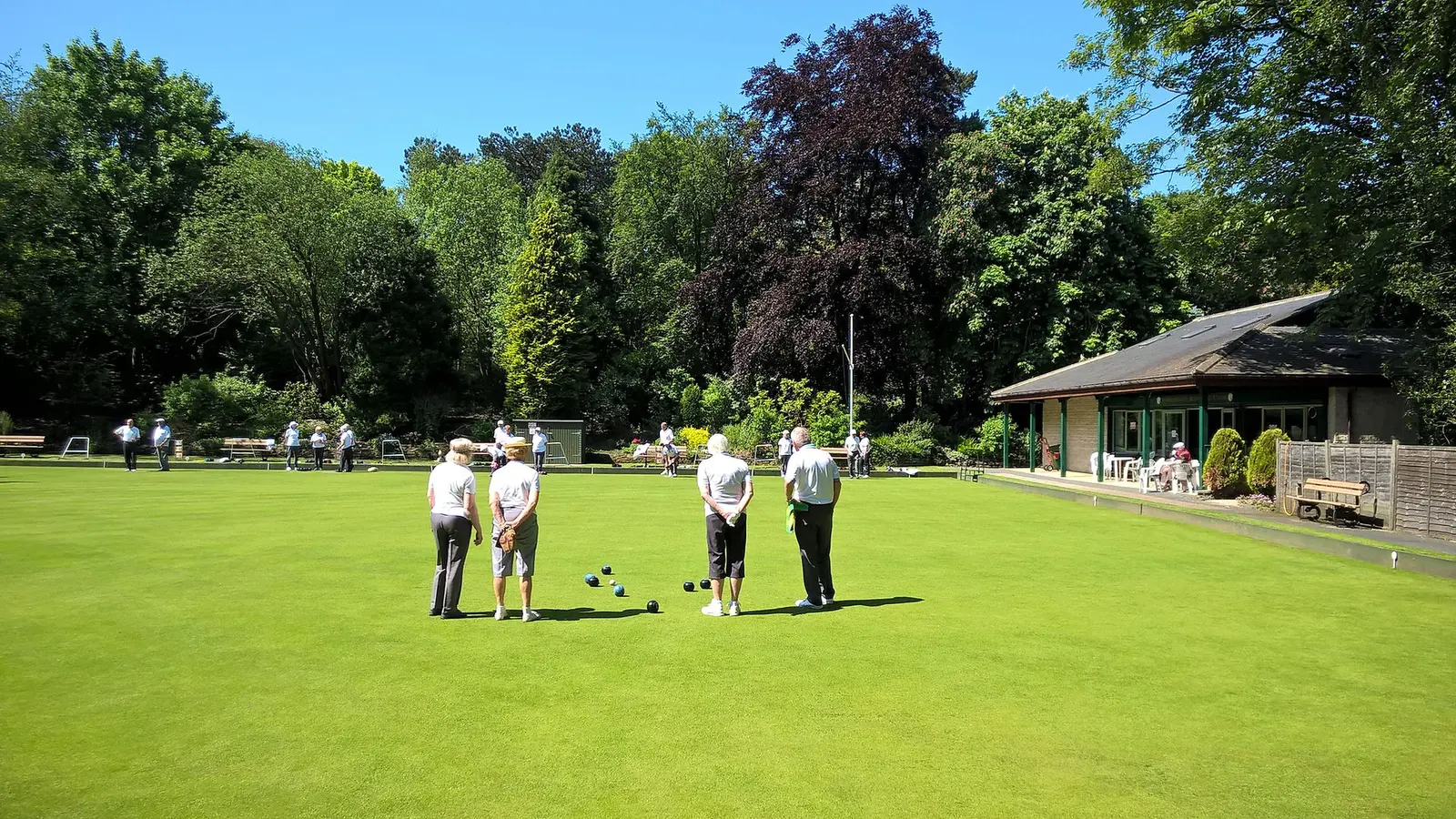 Bowlers on the green at Harrogate Bowling Club